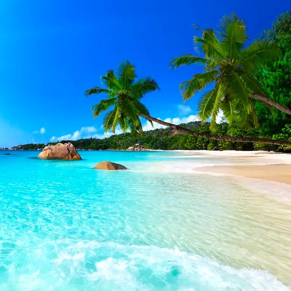 🌊🏝⛱☀️ - Picture 2 of 2